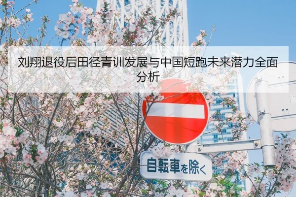 刘翔退役后田径青训发展与中国短跑未来潜力全面分析（LD）